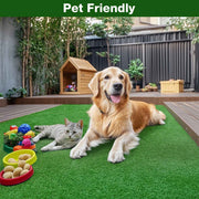 DIY 12' Artificial Grass Turf for Dogs, Gym, Outdoor, 0.8" Pile