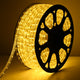 DIY Warm White Rope Lights Outdoor - 120V, 1/2"(13mm), Plug-in
