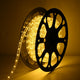 DIY Warm White Rope Lights Outdoor - 120V, 1/2"(13mm), Plug-in