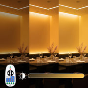 DIY AC110V RF Remote + Controller for LED Neon Light Warm White