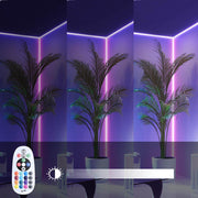 DIY AC120V RF Remote + Controller for LED Neon Light Multi-Color