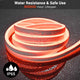 DIY Hardwire 120V Waterproof LED Neon Rope Light RGBW App RF Remote