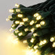 DIY LED String Lights Sample - C9, 5mm Wide Angle Mini