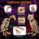 DIY Halloween Animal Skeletons Options