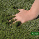 DIY Commercial Artificial Turf for Landscape, Putting Green 13'/15'x Cut-to-Length
