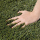 DIY 15' Canine Artificial Turf for Pet Facility | Cut-to-Length