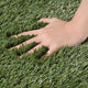 DIY Commercial Artificial Turf for Landscape, Putting Green 13'/15'x Cut-to-Length