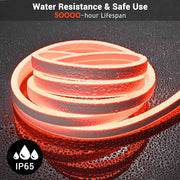 DIY Hardwire 120V Waterproof LED Neon Rope Light RGBW App RF Remote