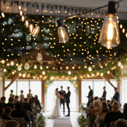 DIY 120V Dimmable String Lights (4x50ft), ST38-Bulb 100ct., Waterproof