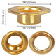 DIY 1/2" #4 Brass Grommets and Washers Pack 1000