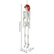 DIY Halloween Decor 5.4 ft. Skeleton Prop Posable Full Body