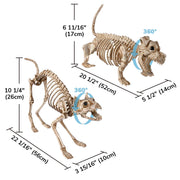 DIY Halloween Animal Skeletons Options