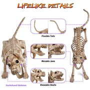 DIY Halloween Animal Skeletons Options