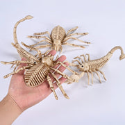 DIY Halloween Animal Skeletons Options