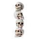 DIY Life Size Plastic Skulls in Bulk 4ct/pk Halloween Decorations