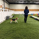 DIY 15' Canine Artificial Turf for Pet Facility | Cut-to-Length