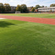 DIY Commercial Artificial Turf for Landscape, Putting Green 13'/15'x Cut-to-Length