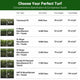 DIY Commercial Artificial Turf for Landscape, Putting Green 13'/15'x Cut-to-Length